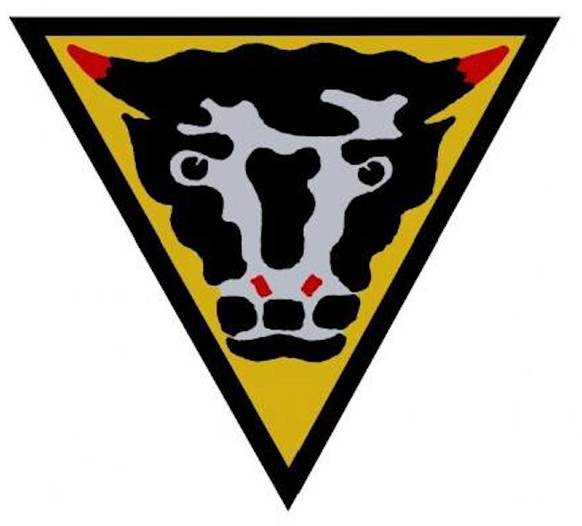 79th Armoured Division unit badge as seen painted on the  
		front right stowage box